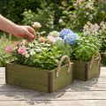 Jardinière vintage en bois vert L24/30cm set de 2 | Floristik24.be
