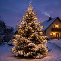 Guirlande lumineuse à riz LED pour extérieur 480 36m noir/blanc chaud | Floristik24.be