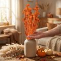Fleurs séchées chardon sec fraise chardon orange 100g | Floristik24.be