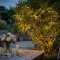 Guirlande lumineuse riz LED 360 27m blanc chaud pour extérieur/intérieur | Floristik24.be