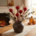Protées séchées Plumosum Rouge 3cm - 6cm 25 pcs | Floristik24.be