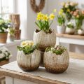 Cache-pot en céramique œuf cassé crème marron Ø9,5 cm 3 pièces | Floristik24.be