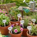 Étiquette marque-plante 8 cm 100 p. | Floristik24.be