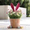 Oreilles décoratives de lapin roses pour Pâques en bâtonnet floqué H56cm | Floristik24.be
