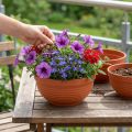 Bol R en plastique terre cuite Ø19cm, 10 pièces | Floristik24.be