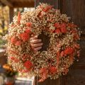 Couronne décorative fleurs séchées couronne de fleurs orange crème Ø25cm | Floristik24.be