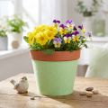 Ruban feutre pour pot vert clair 15cm 5m | Floristik24.be