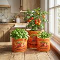 Ensemble de 3 pots à tomates décoratifs en céramique pour la cuisine et un style rétro, 14 cm. | Floristik24.be