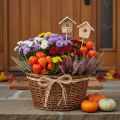 Nichoir décoratif, bouleau, 5 cm, tuteurs pour fleurs, 4 pièces | Floristik24.be