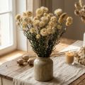 Décoration sèche paille fleur crème hélichryse séchée 50cm 30g | Floristik24.be