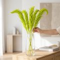 Fleurs séchées d'amarante teintées pour décoration intérieure raffinée et touches uniques, 100cm, lot de 5 | Floristik24.be
