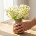 Camomille artificielle en bouquet de fleurs pour une décoration naturelle et facile d'entretien, 28 cm, 3 pièces | Floristik24.be