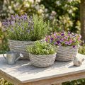 Ensemble de 3 paniers à plantes en osier, blanc et gris, style shabby chic. | Floristik24.be
