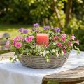 Jardinière en osier, blanche, aspect naturel, anneau décoratif pour aménagement de jardin créatif, Ø 35/30 cm, lot de 2, polyvalente | Floristik24.be