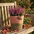 Cache-pot béton pot terre cuite Ø18cm H17cm | Floristik24.be
