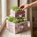 Jardinière décorative shabby chic tiroir rouge blanc lot de 2 | Floristik24.be
