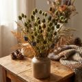 Décoration séchée en chardon-fraise, vert olive, Ø 1–2 cm, L 55 cm, 100 g | Floristik24.be