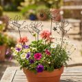 Bouchon de fleur en métal décoration abeille noir 8,5cm 4 pcs | Floristik24.be