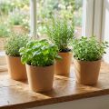 Jardinière, cache-pot, jardinière en papier naturel Ø15cm H13cm 4pcs | Floristik24.be