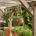 Bol suspendu coco, bol végétal naturel, panier suspendu Ø8cm L55cm | Floristik24.be