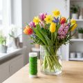 Fil émail déco Ø0.30mm 30g 50m vert pomme | Floristik24.be