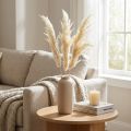 Herbe de pampa décorative crème herbe sèche blanchie 95cm 3 pcs | Floristik24.be