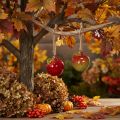 Décoration automnale en céramique en forme de pomme à suspendre, 5 cm, lot de 4 | Floristik24.be