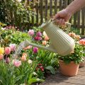 Arrosoir de 9 L vert olive avec pommeau amovible, pratique pour l'entretien du jardin et des fleurs, robuste, 42 cm | Floristik24.be