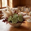 Flasque Lotus mix vert lavé Ø6cm - 10cm 50 pcs | Floristik24.be