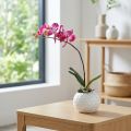 Orchidées artificielles en pot Phalaenopsis fleurs artificielles orchidées rose 34cm | Floristik24.be