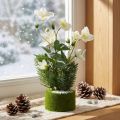 Rose de Noël artificielle avec sapin et boule de mousse, recouverte de neige blanche, 33 cm | Floristik24.be
