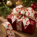 Ruban décoratif Père Noël 60 mm 10 m | Floristik24.be