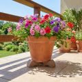 Pieds pour pots de fleurs, rehausseurs pratiques, accessoires pour balcon et terrasse, 7 cm, lot de 3 | Floristik24.be