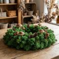 Mousse décorative verte islandaise préservée pour l'artisanat 400 g | Floristik24.be