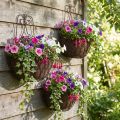Panier suspendu plantes métal aspect rouille H30/33,5/40cm lot de 3 | Floristik24.be