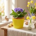 Poignets plissés jaune 18,5cm 100 pièces | Floristik24.be