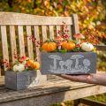 Coffret en bois champignon vénéneux, décorations d'automne, décorations de jardin, bacs à plantes L40/30cm, lot de 2 | Floristik24.be