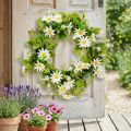 Couronne de marguerites artificielles blanches et vertes Ø28cm H9cm | Floristik24.be