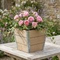 Boîte à fleurs jardinière en bois Shabby Chic Beige 19x19x15.5cm | Floristik24.be