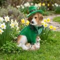 Beagle en chapeau St. Patrick's Day Dog in Suit Garden Decor Hound H24.5cm | Floristik24.be