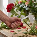 Couteau fleuriste Victorinox | Floristik24.be