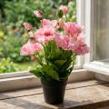 Pavot d'Orient, fleur artificielle, pavot en pot rose | Floristik24.be