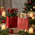 Sacs cadeaux sacs en papier avec poignée rouge 12×12×12cm 6pcs | Floristik24.be