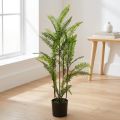 Fougère en pot vert 80cm | Floristik24.be
