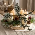 Mousse de lichen mousse grise avec branches 750g | Floristik24.be