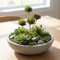 Cueillette Succulente Vert / Marron 35.5cm | Floristik24.be