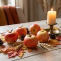Pommes décoratives Cox 6 cm, lot de 6 | Floristik24.be