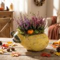 Pot de fleurs décoratif en forme de poire, pot de fleurs d'automne, béton, 25 × 13 × 11 cm | Floristik24.be
