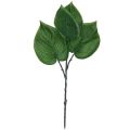 Floristik24 Philodendron arbre artificiel ami plantes artificielles vert 39cm