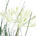 Floristik24 Fleur artificielle d&#39;herbe de scirpe Fleurs artificielles dans un pot 56cm